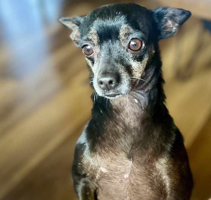 Photo of Tito