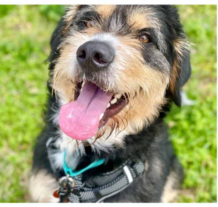 Photo of Timmy
