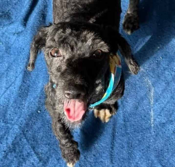 Photo of Frankie