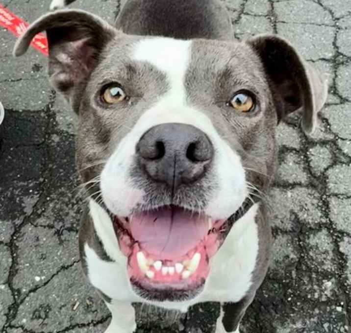 Photo of Missy