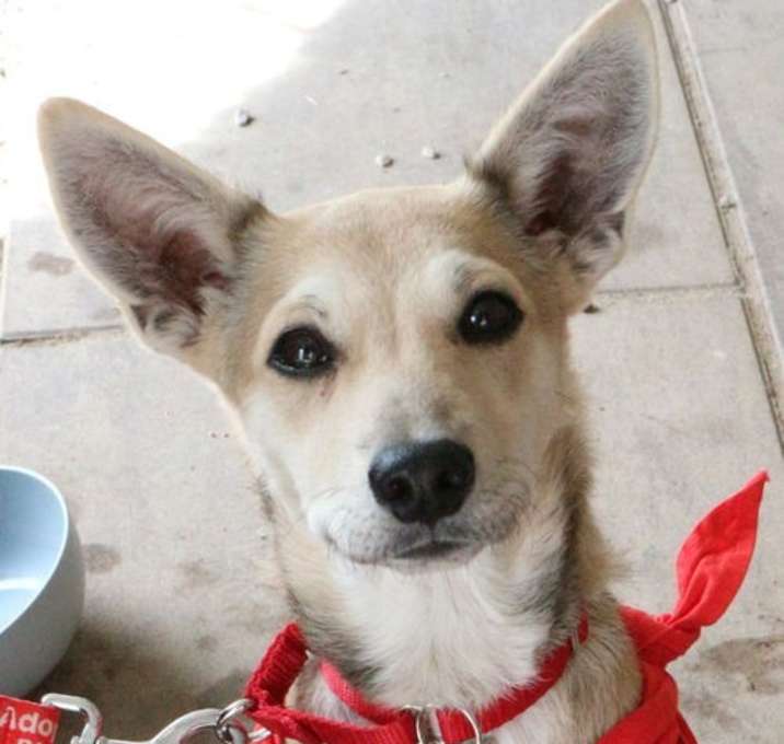 Photo of Almendra