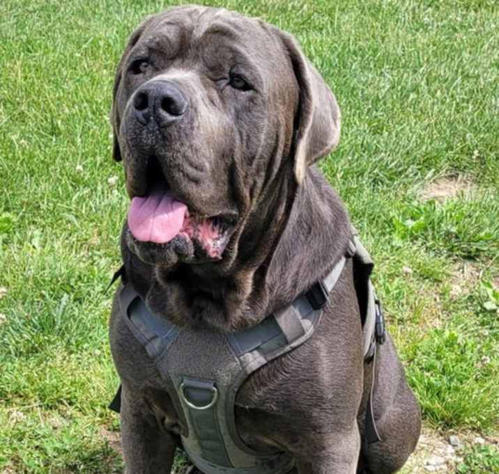 Photo of Zuko