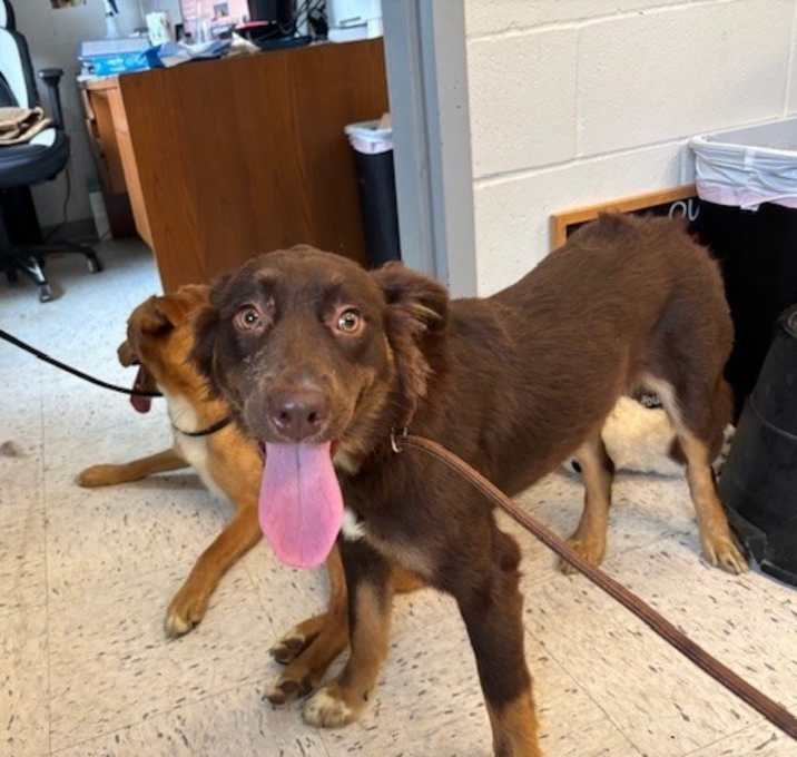 Photo of Hershey