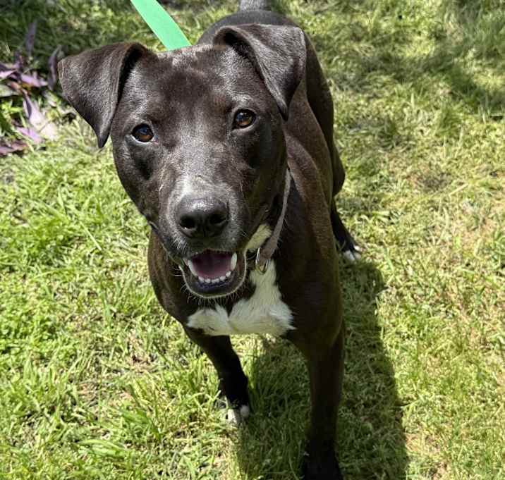 Photo of Duke
