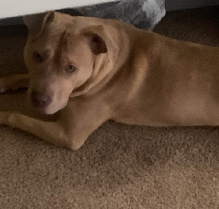 Photo of Zuko
