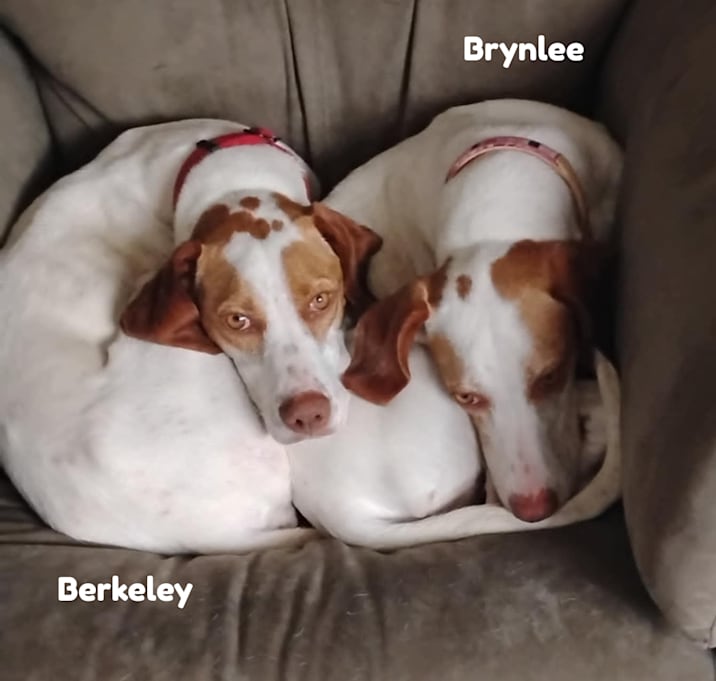 Photo of Berkeley
