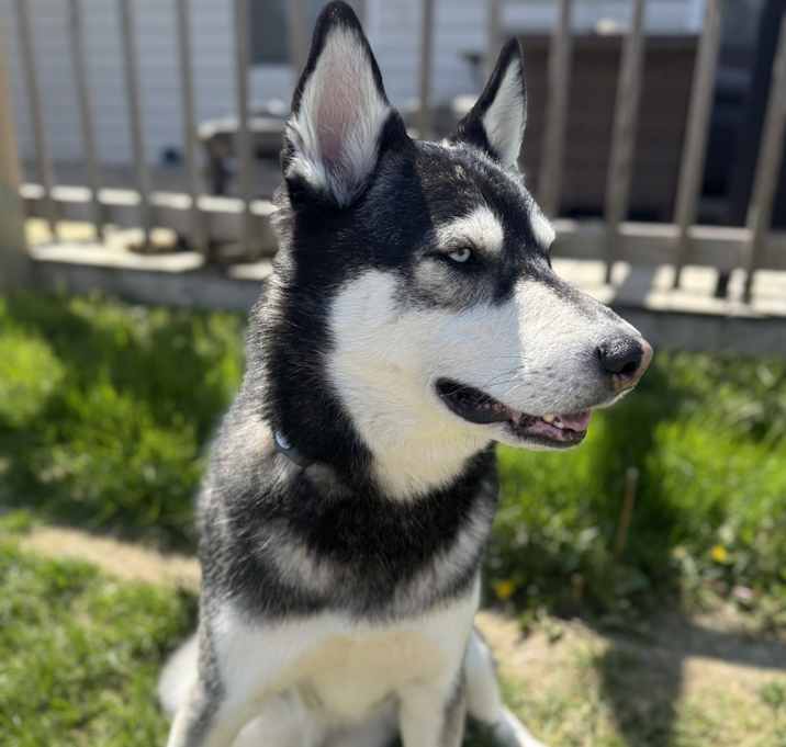 Photo of Artu
