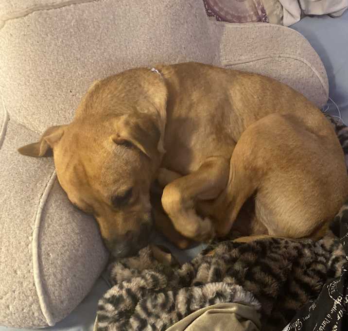 Photo of Chapo