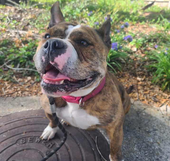 Photo of Pippa
