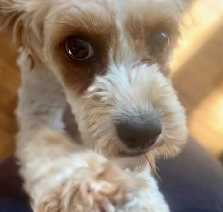 Photo of Nelly