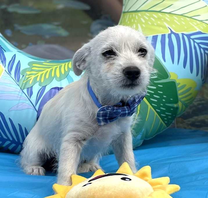 Photo of Charlie
