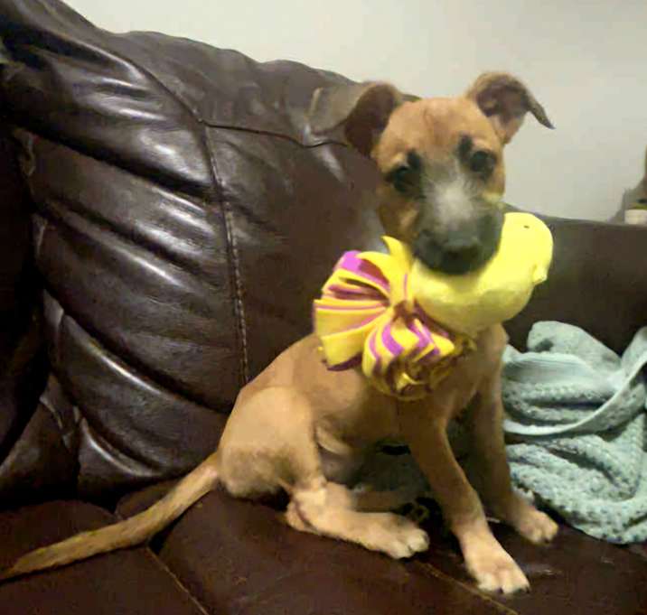 Photo of Sparkles