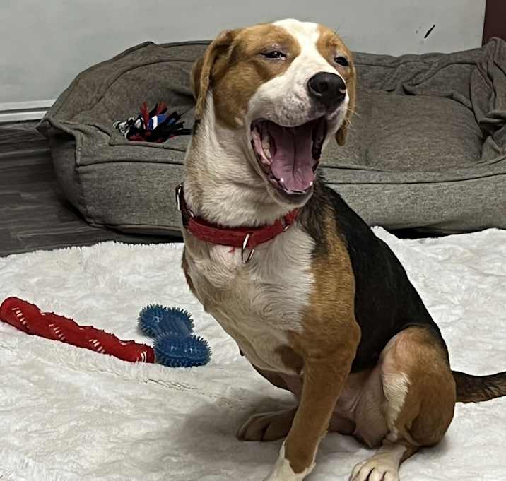 Photo of Molly