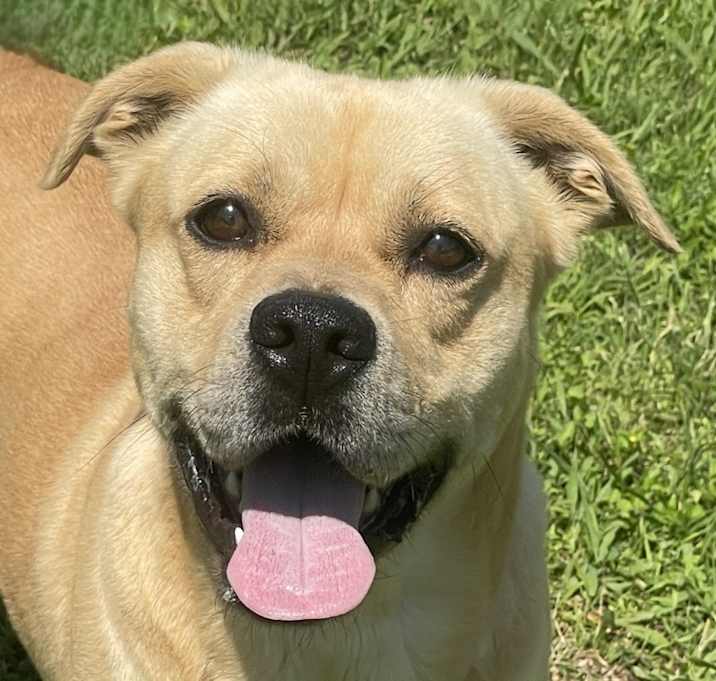 Photo of Loco