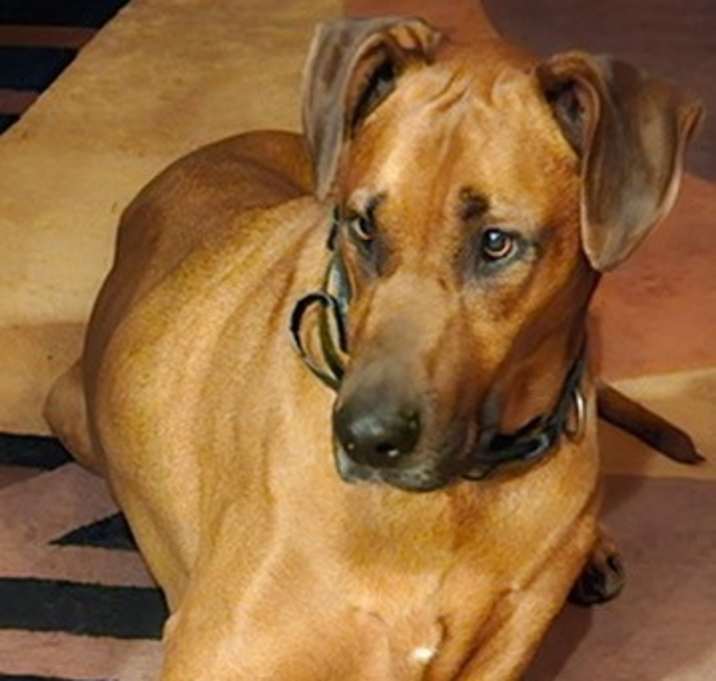 Photo of Jethro