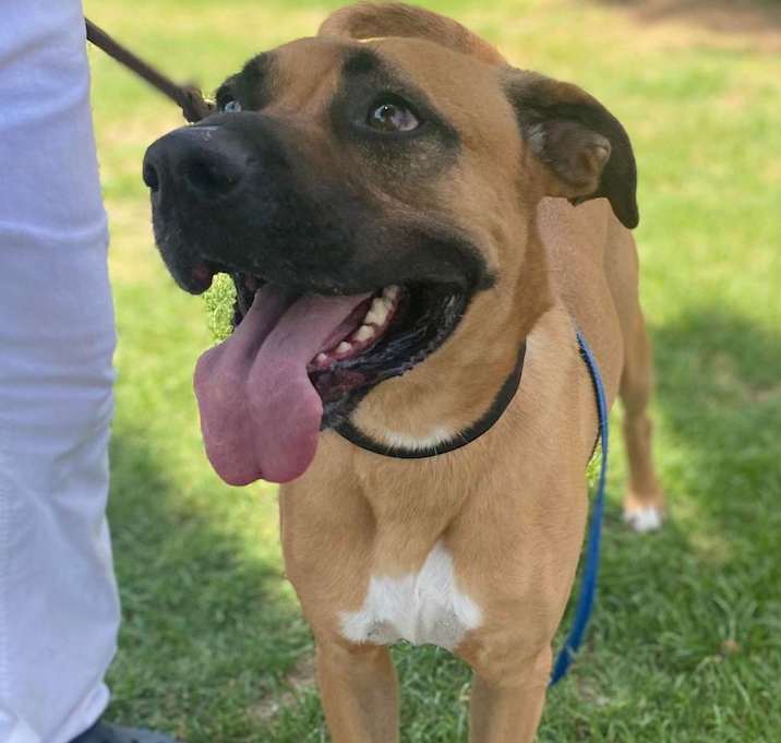 Photo of ROMEO