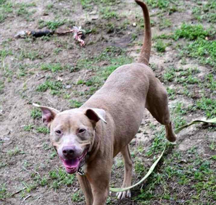Photo of DAISY