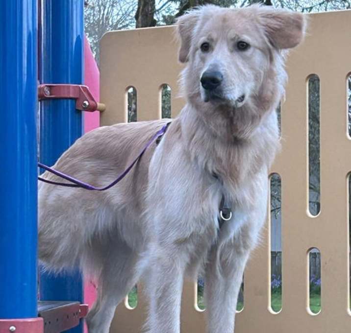 Photo of Haru