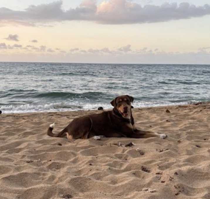 Photo of Pepito