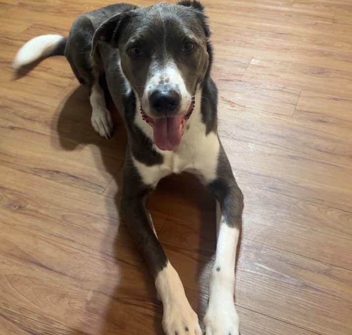 Photo of Debo