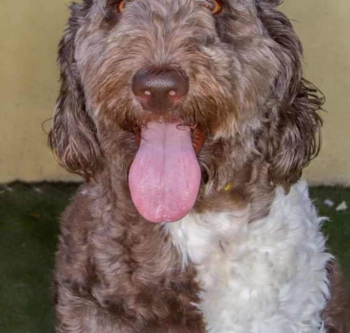 Photo of Danny