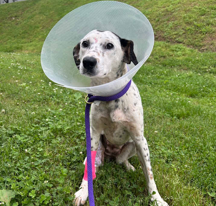 Photo of Amelia