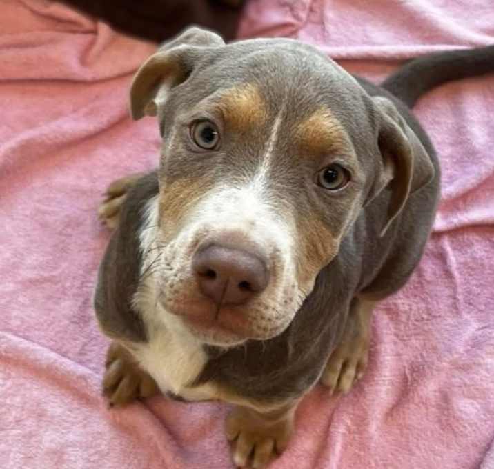Photo of Tess