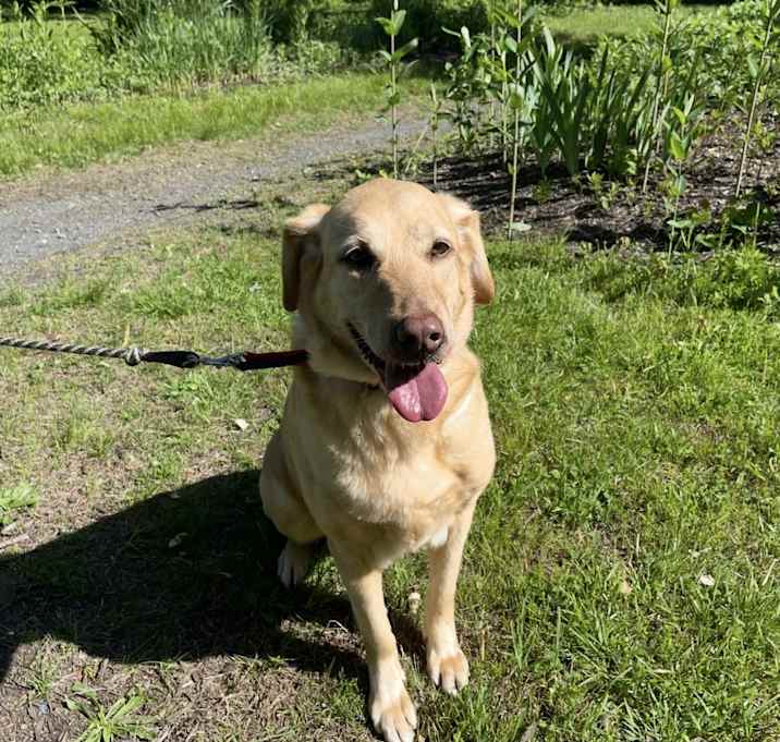 Photo of Maggie