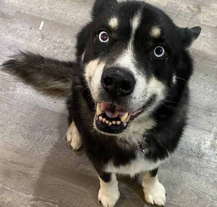 Photo of Gambit