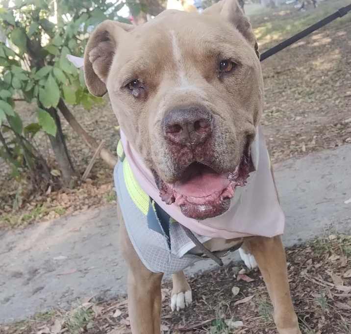 Photo of CHATA