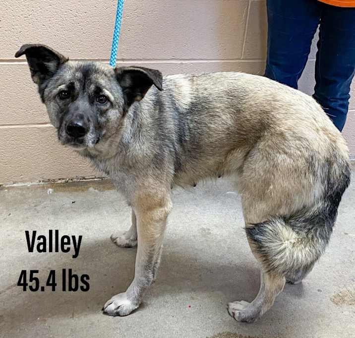 Photo of Valley