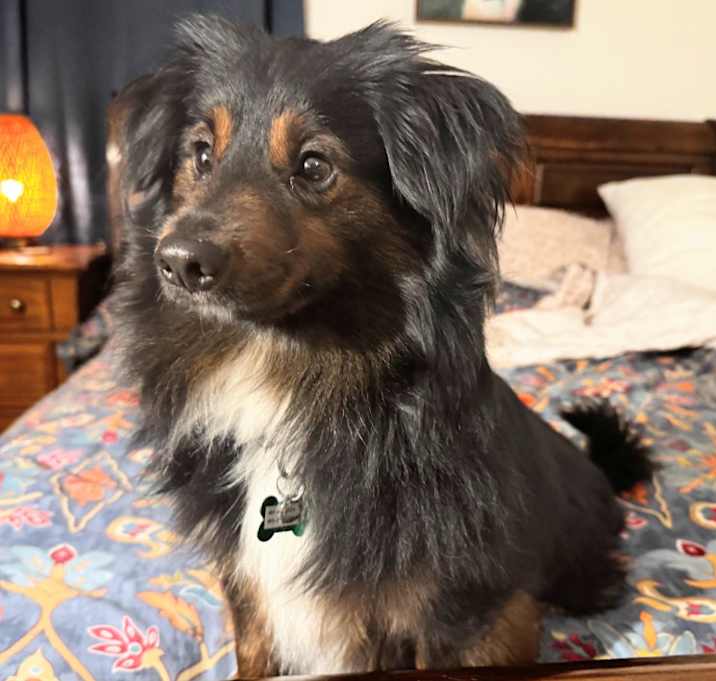 Photo of Roary