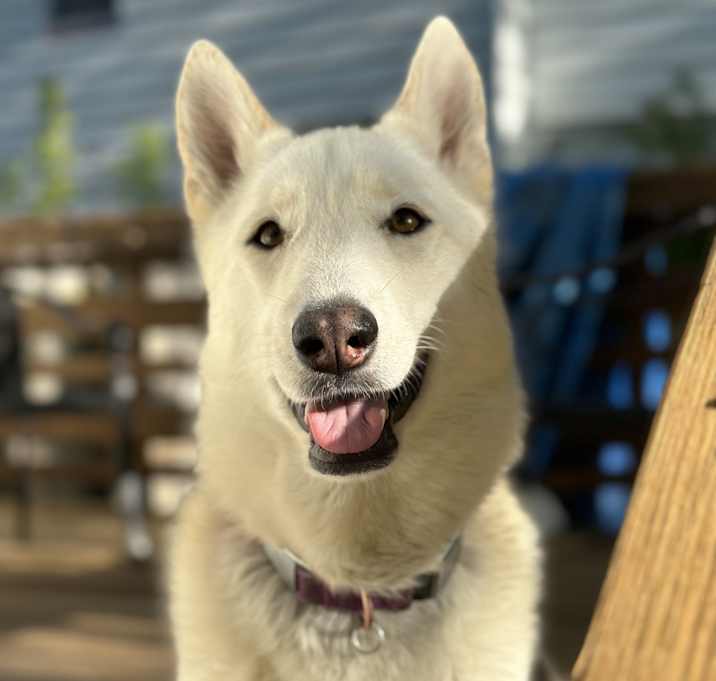 Photo of Delilah