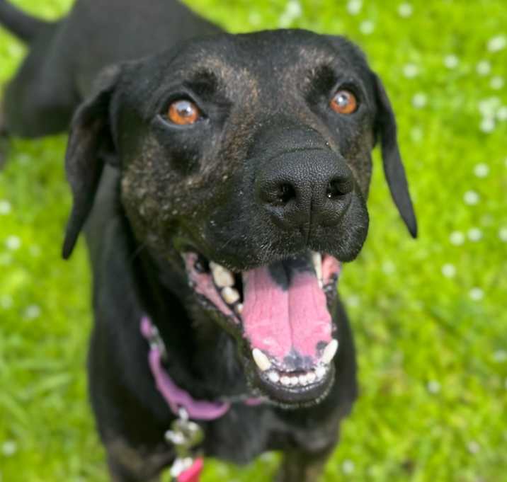 Photo of Hershey
