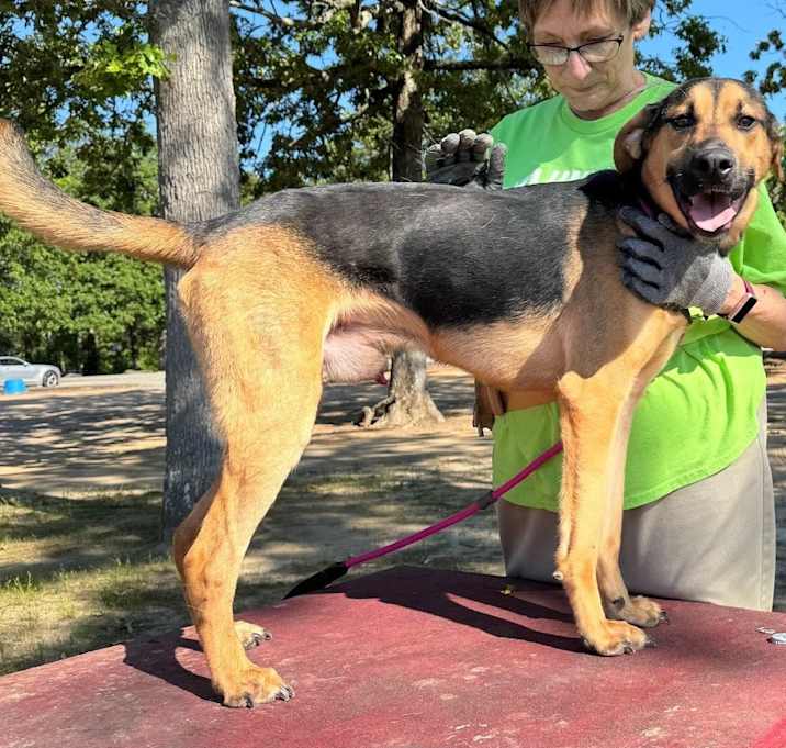 Photo of Hux (2401 W 31st)