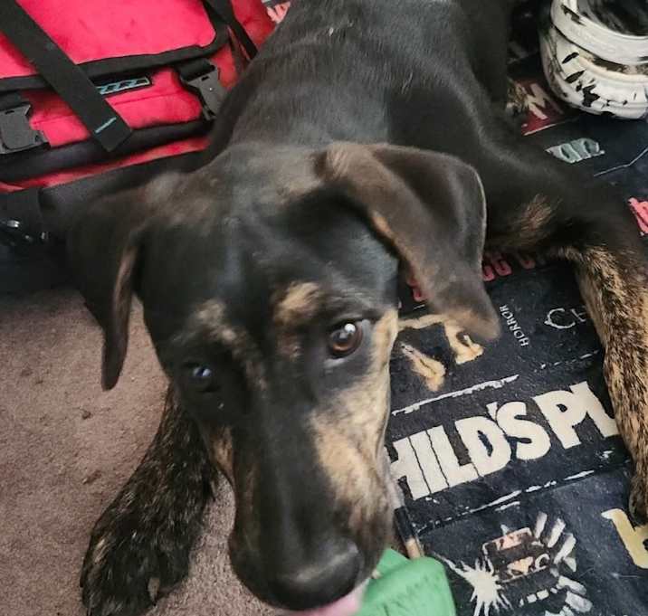 Photo of Sassy