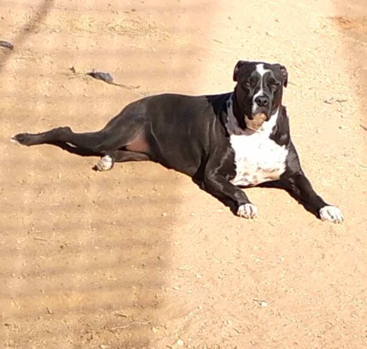 Photo of LUNA