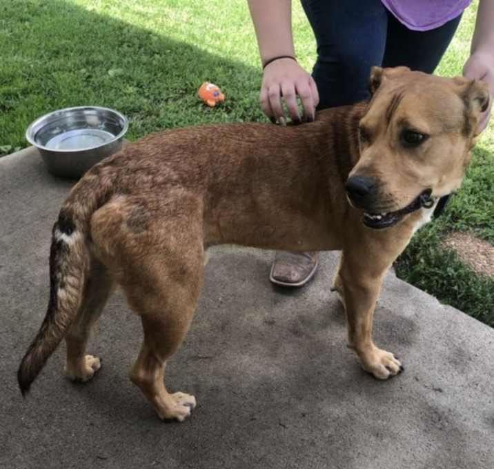 Photo of Copper