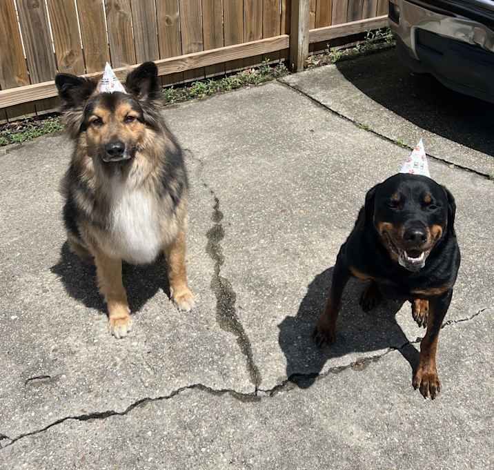 Photo of Zeus and Thor