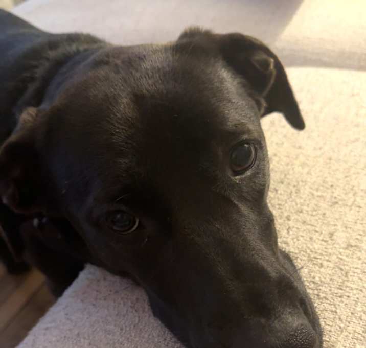 Photo of Oakley