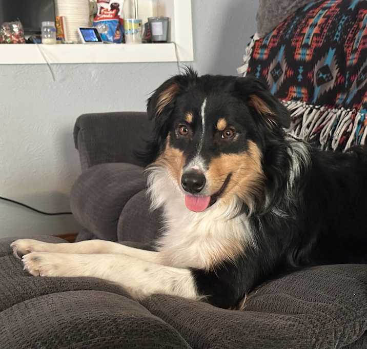 Photo of Roscoe