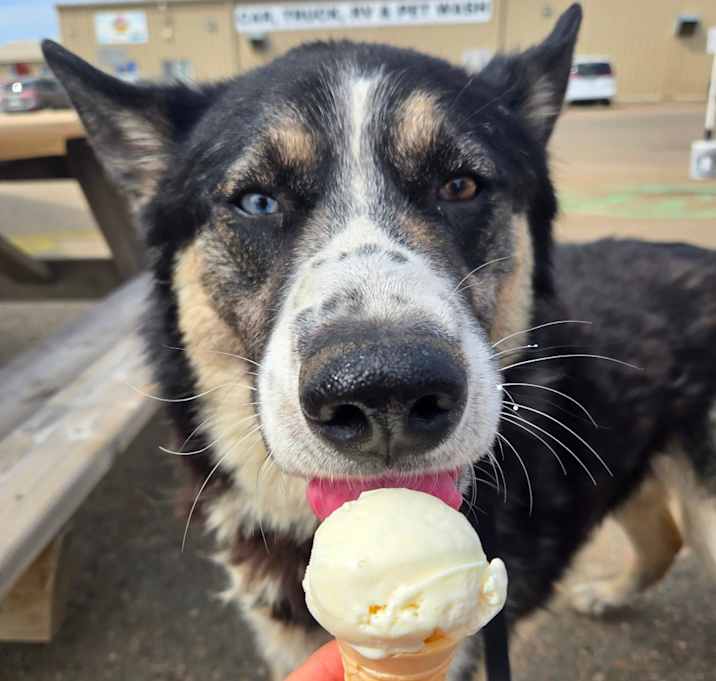 Photo of Tank