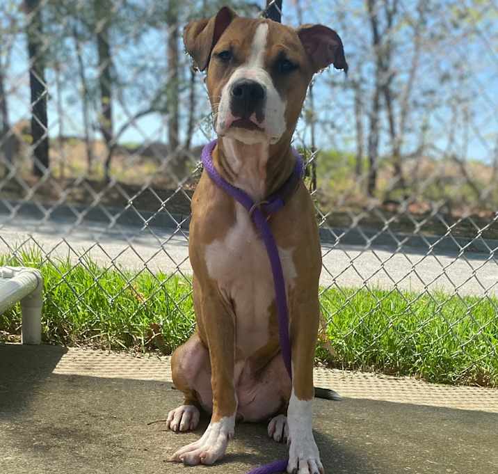 Photo of Nyla