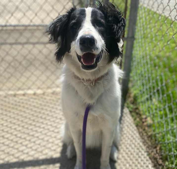 Photo of Ella Blue