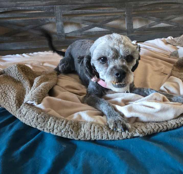 Peggy Photo #4