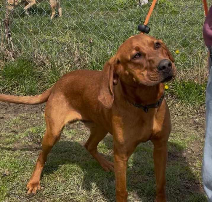 Photo of Paco
