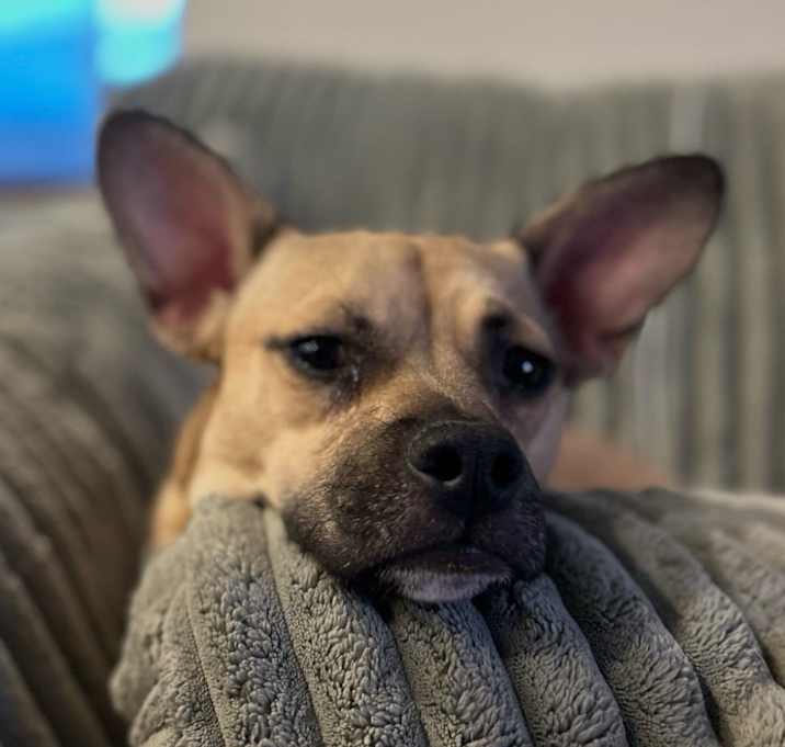 Photo of Lucy