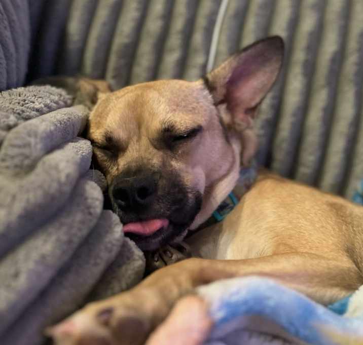 Lucy Photo #3