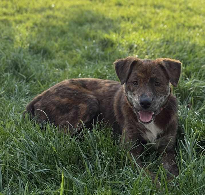 Photo of Shy