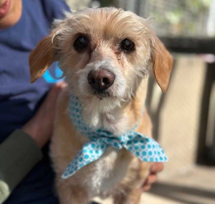 Photo of Pattycakes